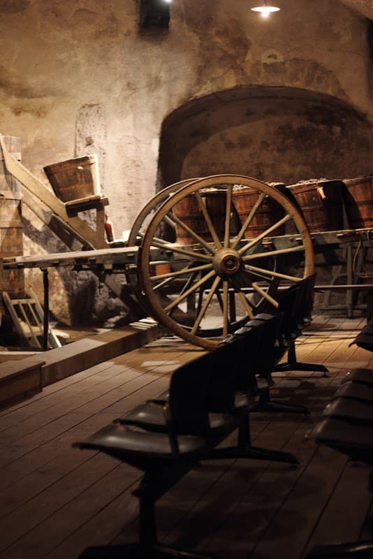 Le Musée de la Vigne & du Vin